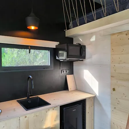 Moose Tiny House Basalt *