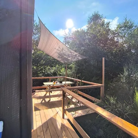 Moose Tiny House Basalt Alpehytte *