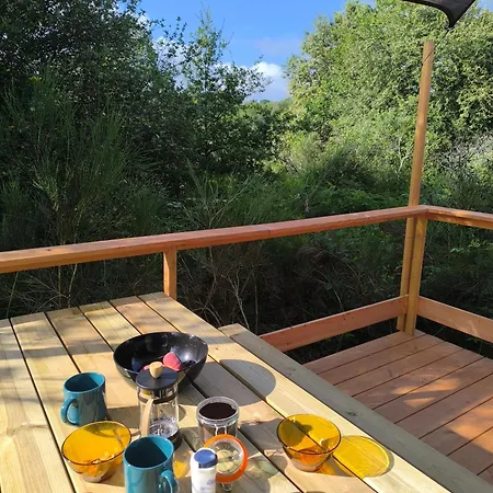 Alpehytte Moose Tiny House Basalt *