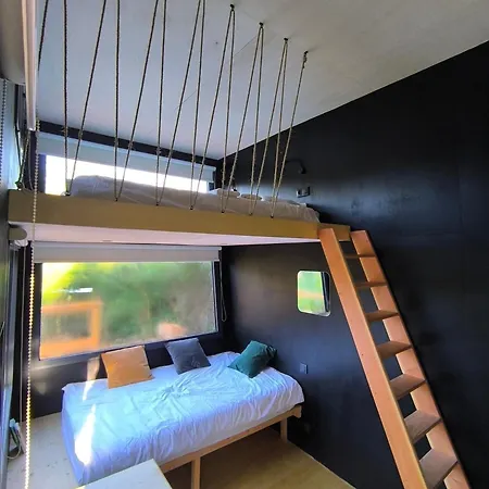 Moose Tiny House Basalt